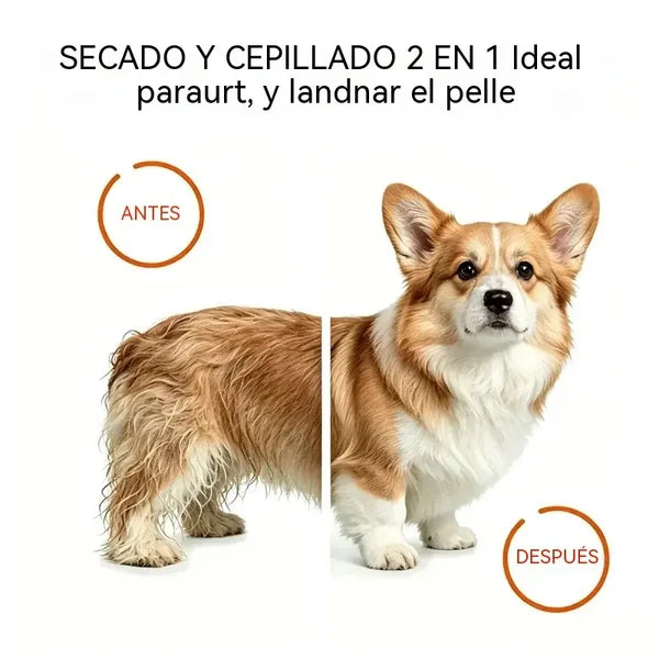 Cepillo Y Secador Para Mascotas 2 En 1